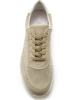 New Baskets à lacets Femme Baskets, Derbies