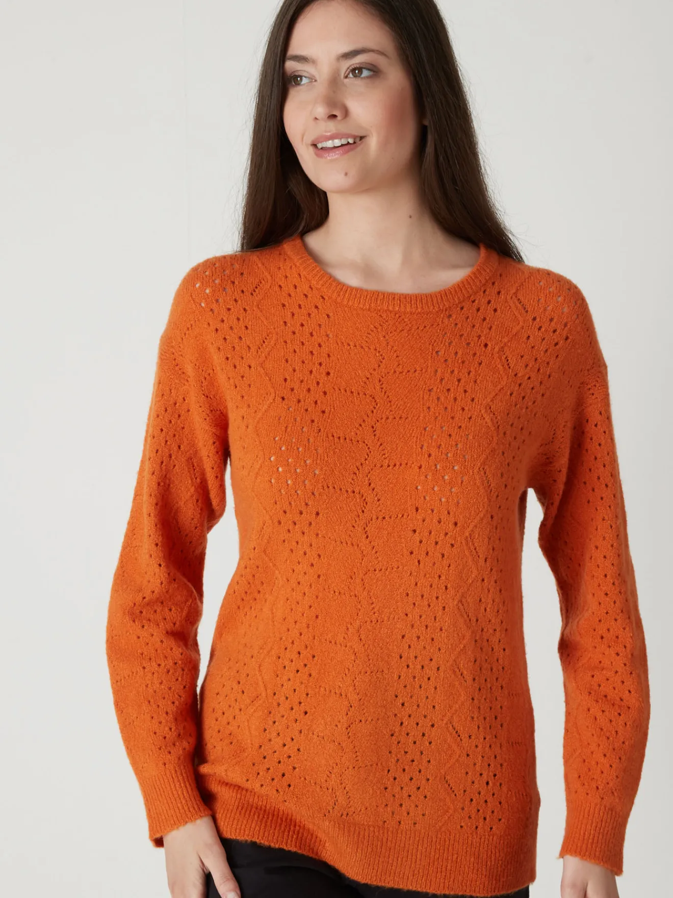 New Pull encolure ronde Femme Pull