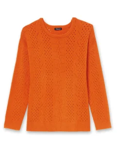 New Pull encolure ronde Femme Pull