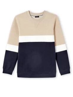 Clearance Sweat-shirt en molleton Homme Pull, Sweat